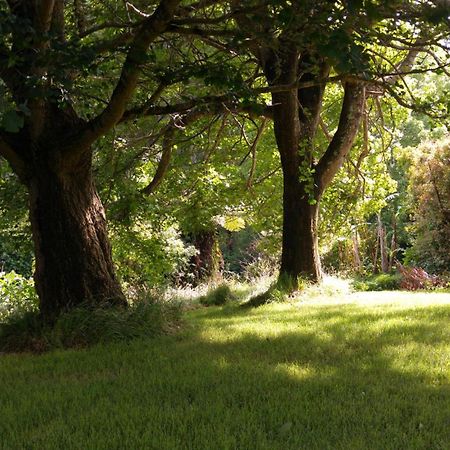 Purple Hen Country Lodge Katikati Exteriér fotografie