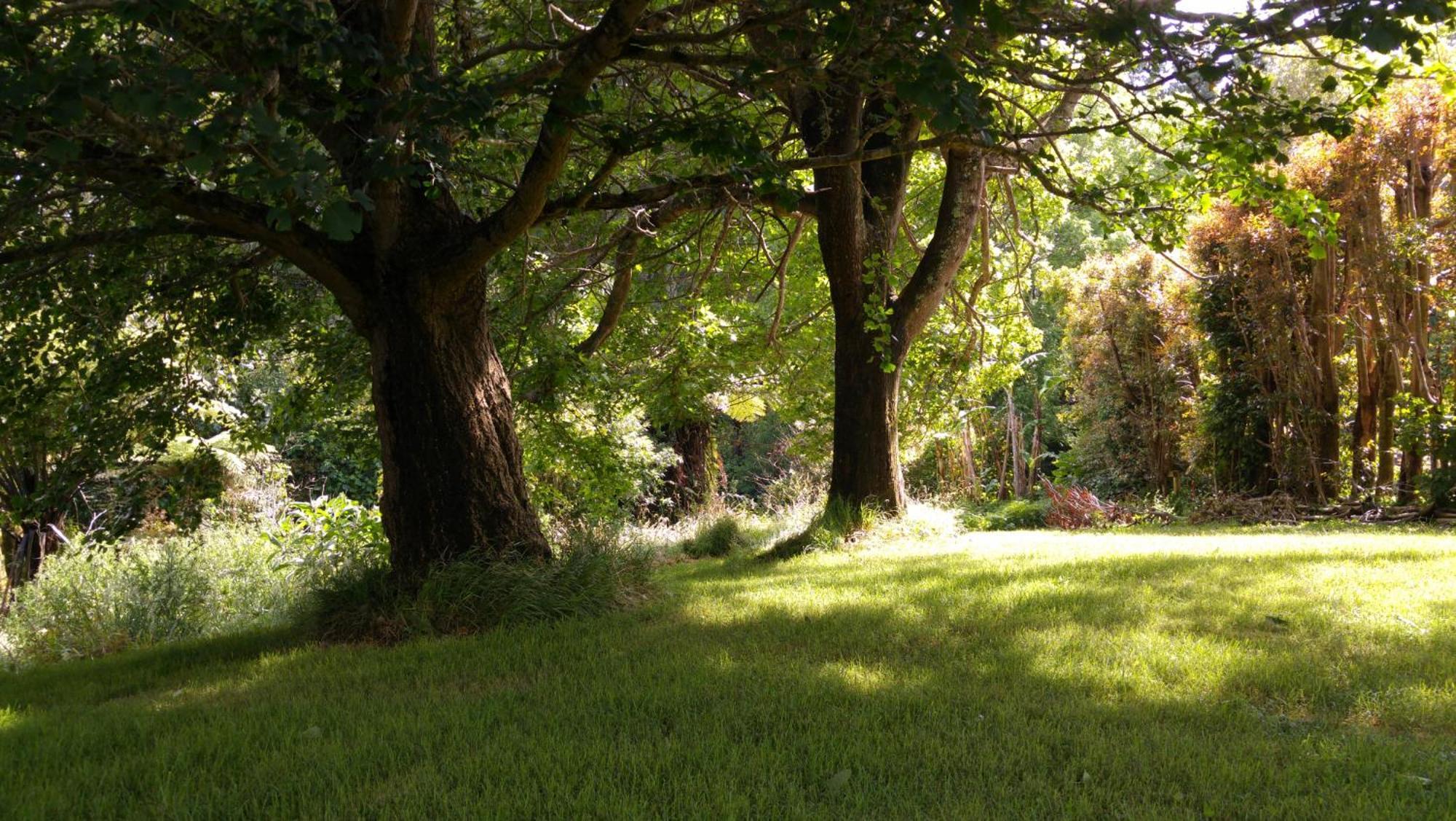 Purple Hen Country Lodge Katikati Exteriér fotografie