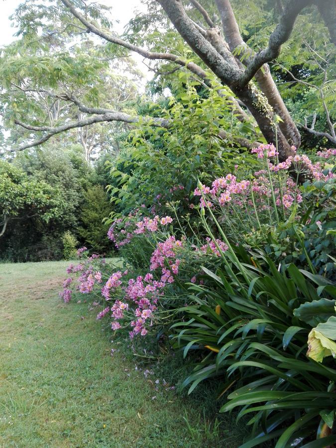 Purple Hen Country Lodge Katikati Exteriér fotografie