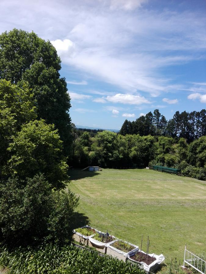 Purple Hen Country Lodge Katikati Exteriér fotografie
